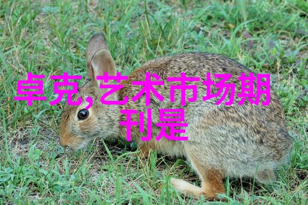 首届三联人文风土季此时此地系列活动于河南中牟举办